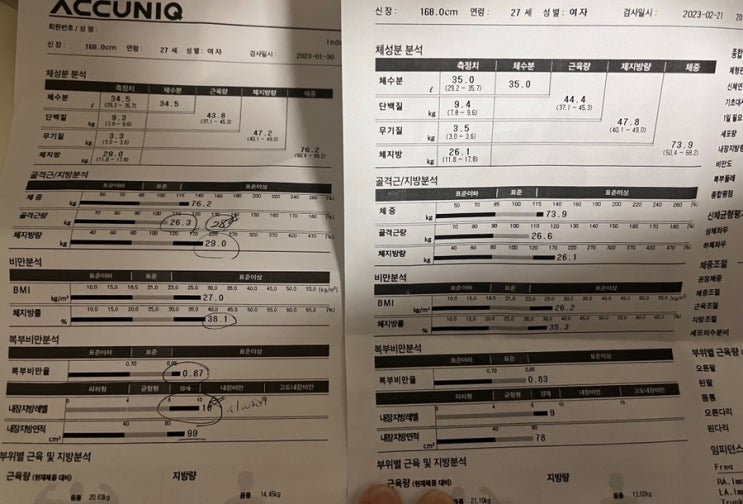  직장인 다이어트 :: 식단 관리