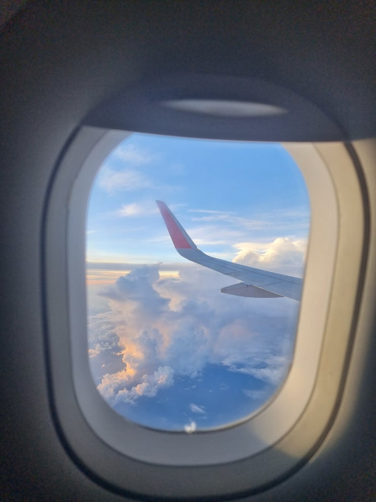  비엣젯 항공 결항 / 트립닷컴 / 해결후기