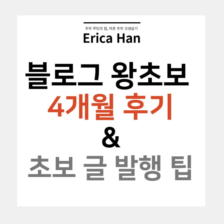  네이버 블로그 4개월 후기 및 왕초보 블로그 글 발행시 주의사항 팁 5가지 블로그 이웃 늘리기