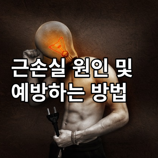  근손실 원인 및 예방하는 방법