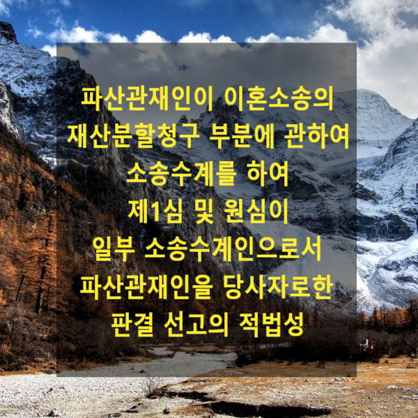  파산관재인이 이혼소송의 재산분할청구 부분에 관하여 소송수계를 하여 제1심 및 원심이 일부 소송수계인으로서 파산관재인을 당사자한 판결 선고의 적법성