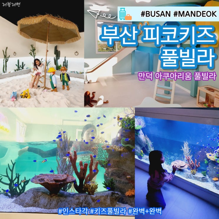  부산 아쿠아리움풀빌라 피코키즈풀빌라 켈프숲 솔직후기