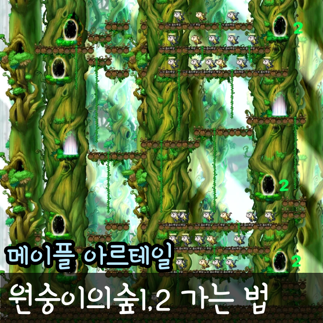  아르테일 원숭이숲 가는 방법