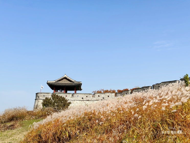 [경기 수원 당일여행 가볼만한 곳 추천 - 수원 화성 행궁] 수원 행궁동 놀거리! 수원 화성행궁 화서문 성곽 둘레길 산책코스! 화성 행궁 입장료 행궁어차, 주차장 안내