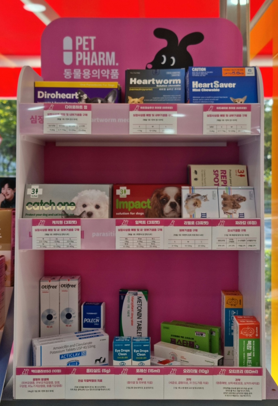 충대후문약국 사진 4