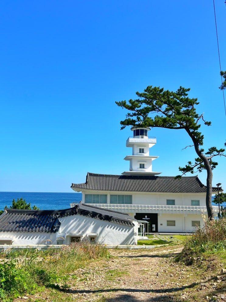  경주 감포 송대말등대 빛 체험전시관 주차 꿀팁까지
