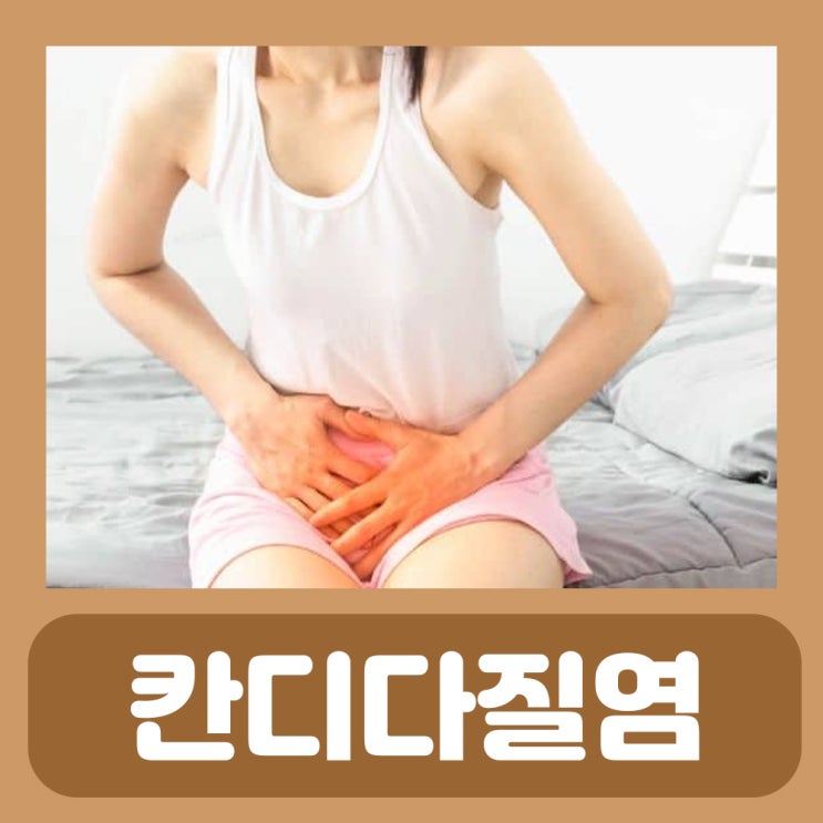  질염 증상 종류 칸디다질염 원인 증상 약 질염 냉 팬티 질냄새 질통증