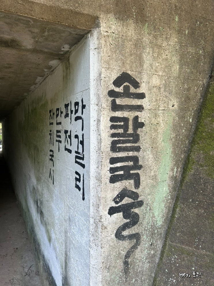  경주 애견동반 식당 실내 개별룸 있는 금산재 칼국수 강아지와 방문! (feat. 센과 치히로 터널 핫플)
