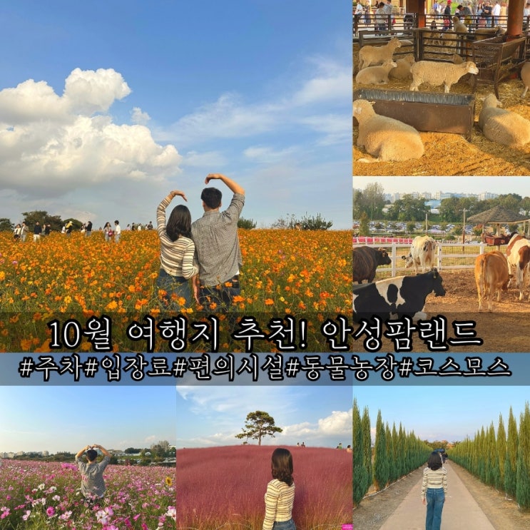  안성팜랜드 입장료 주차 지도 유모차대여 동물농장 코스모스 총정리!