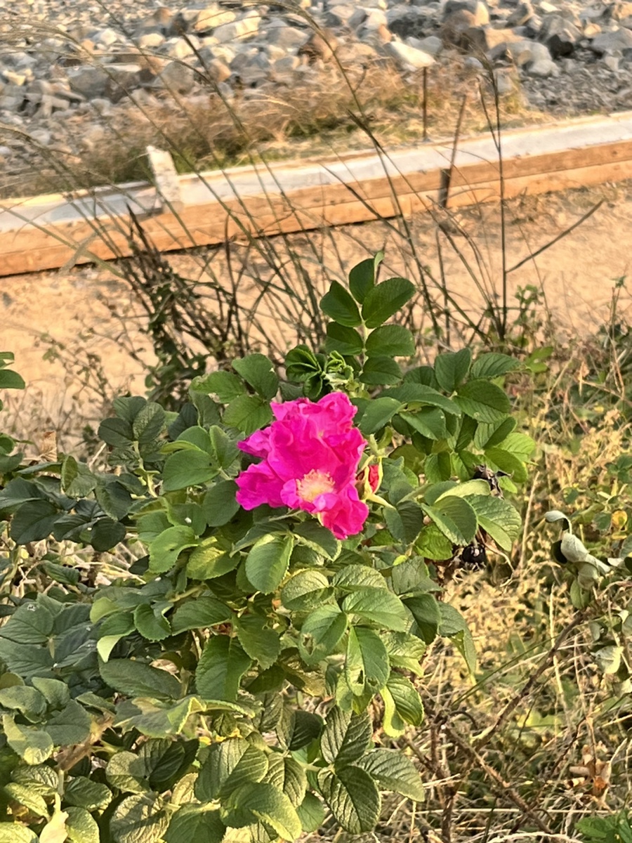 카페루앤비 울산화정점 사진 1