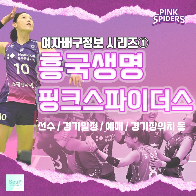 [여자배구정보①] 흥국생명 핑크스파이더스 배구단 23-24시즌 - 주력선수, 경기일정, 예매방법....