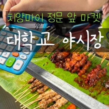  치앙마이 야시장 대학교 정문 마켓 쇼핑, 둘러보기