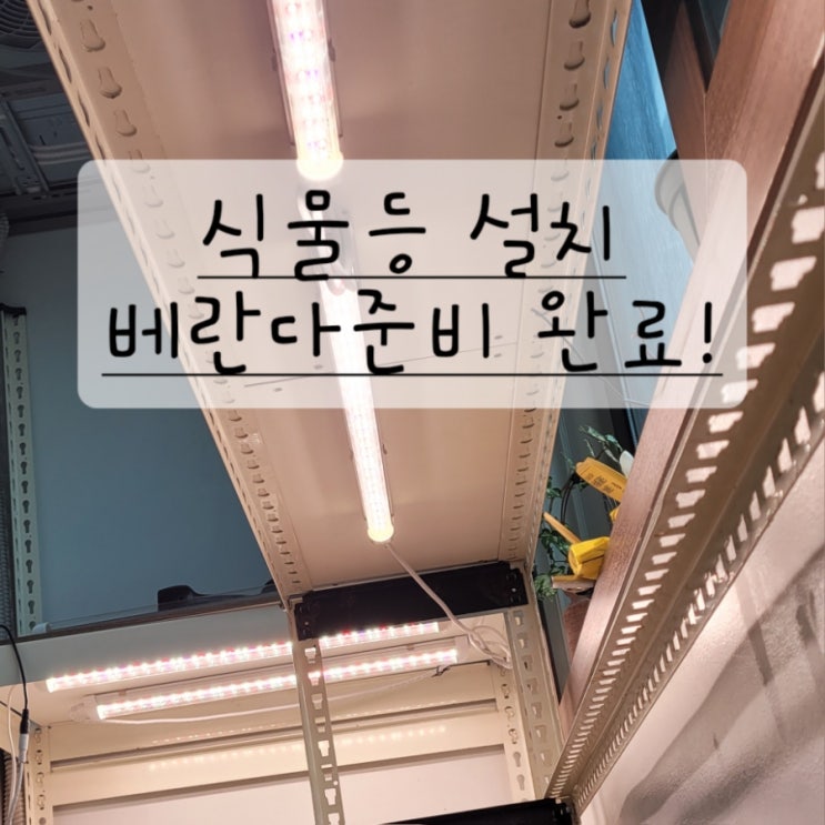  겨울맞이 식물 성장 등 설치