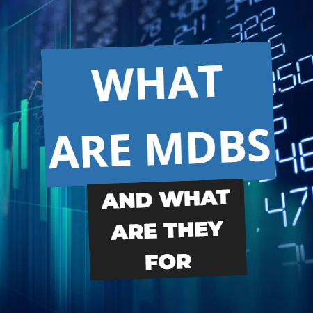 MDB (다자개발은행)이란 무엇일까? 대표적 예시와 함께