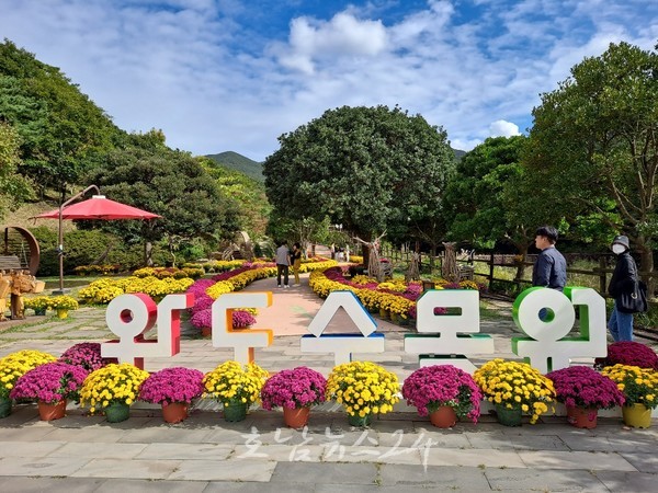  국화향기 가득한 완도수목원, 20일부터 그린숲 페스티벌 개최