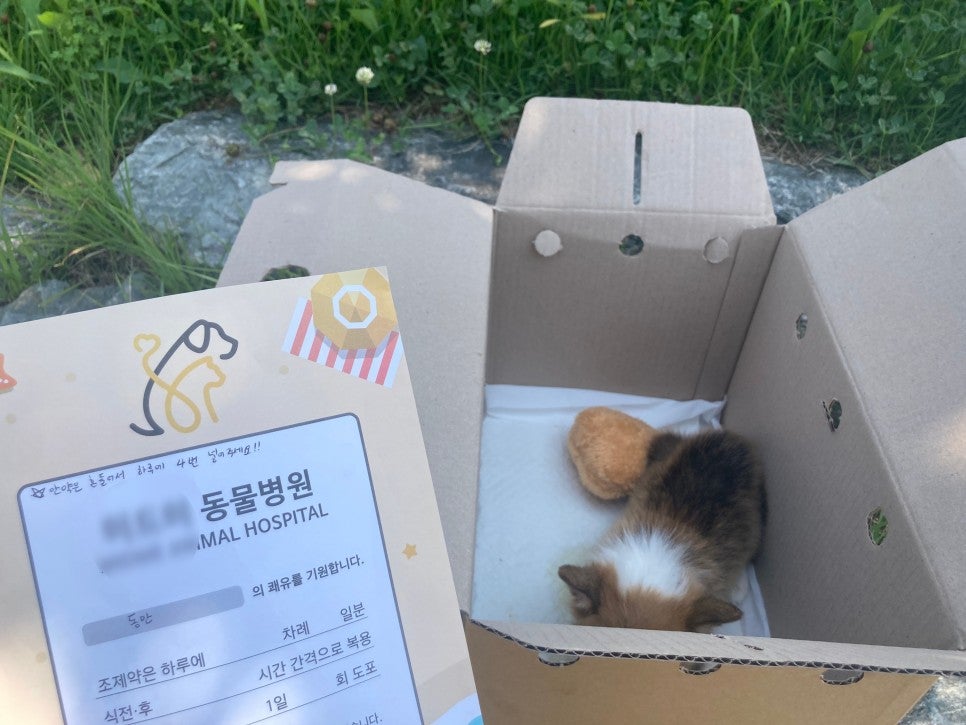 미드미동물병원 사진 3