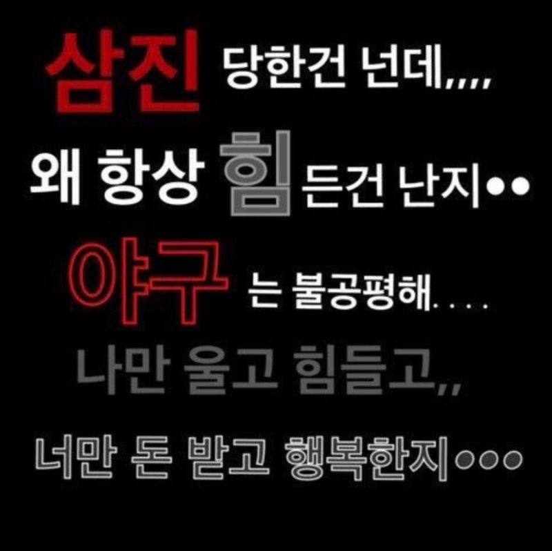 쟈티 이미지