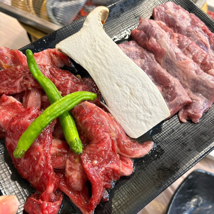 울산 삼산 고기 통통 부드러운 갈매기7번가 울산 삼산 고기 통통 부드러운 갈매기7번가