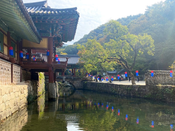  순천 송광사 헤어질 결심 촬영지 방문_2023 제3차 송광사 괘불재