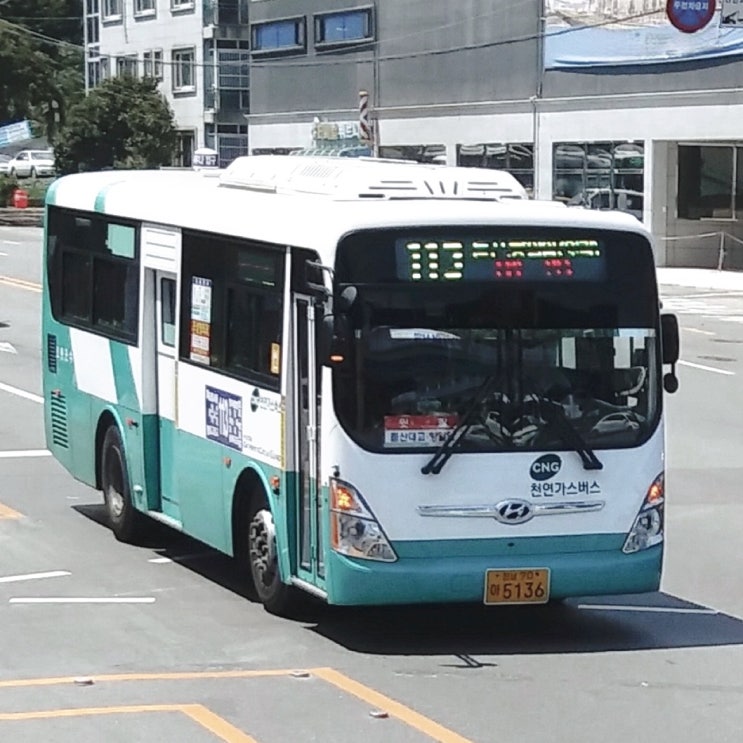 【여수 75세 이상 무료 시내버스】 교통복지카드 신청방법 / 2024년 실시 / 무상 시내버스