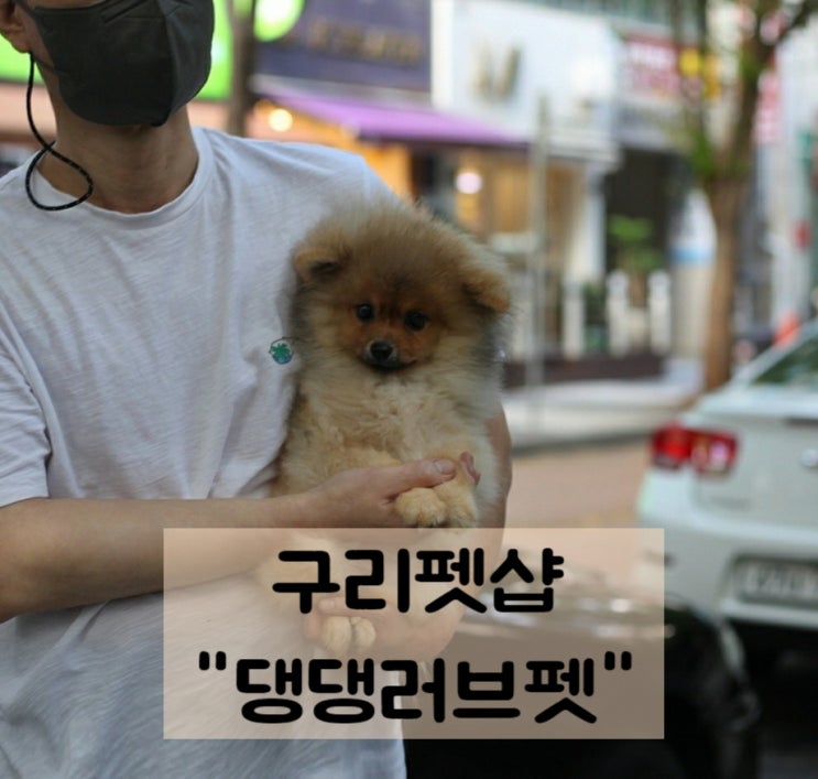  구리펫샵 추억이 돋아나