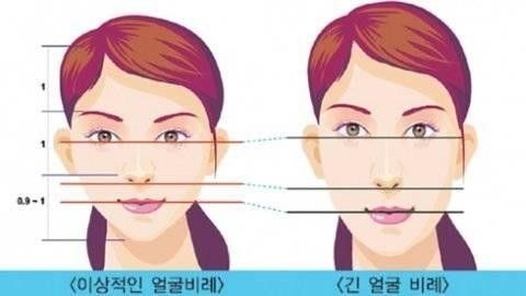   성형도 안돼서 타고나야 된다는 얼굴 부위 ,, 