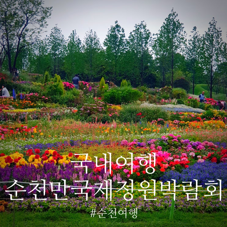 [전라도여행] 순천만 국제정원 박람회 : 주차꿀팁& 순천만국가정원입장료