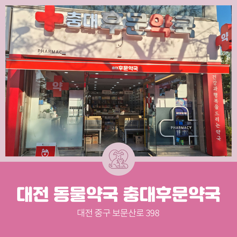 충대후문약국 사진 1