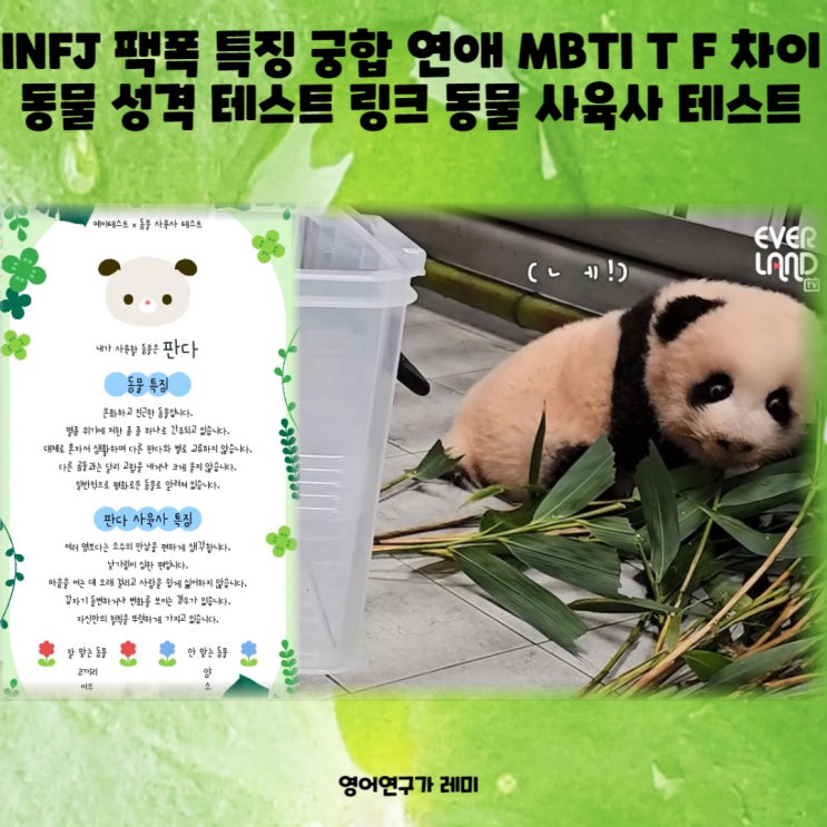 INFJ 성격 남자 여자 특징 궁합 연애 MBTI T F 차이 동물 성격 테스트 링크 동물 사육사 테스트