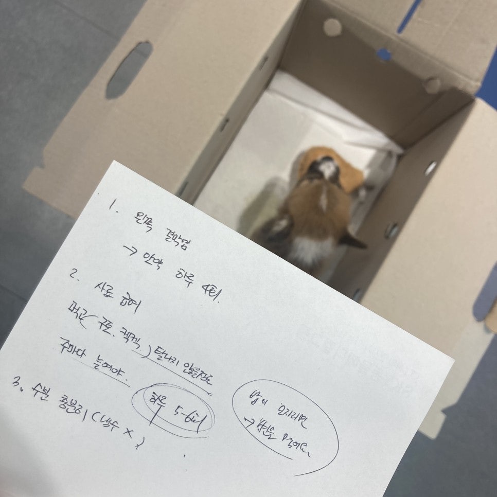 미드미동물병원 사진 4