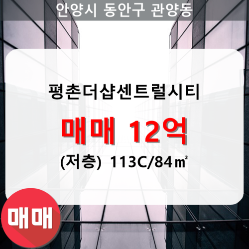 관양동 평촌더샵센트럴시티 아파트 102동 113C/84 매매(저/32층)