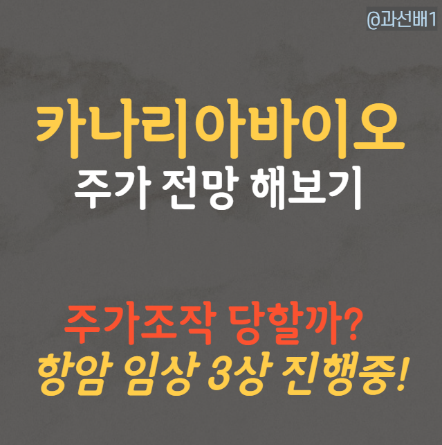  카나리아바이오 주가로 알아본 주가조작 위험성