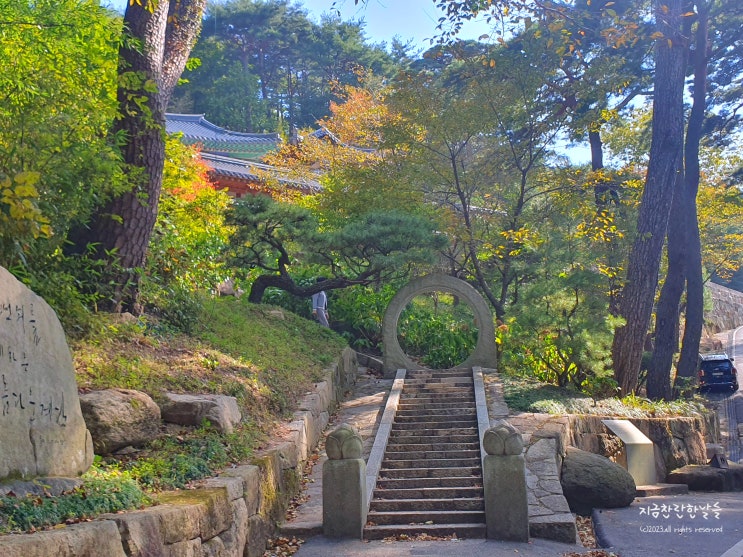  양산 통도사 자장암 금개구리 보살님 만나다!