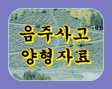  음주운전 사고 반성문 탄원서 이것만 알면 됩니다