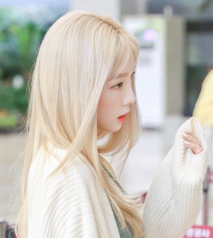  디자이너 현희/태연 백금발/카리나 백금발/ 탈색/ 뿌리탈색