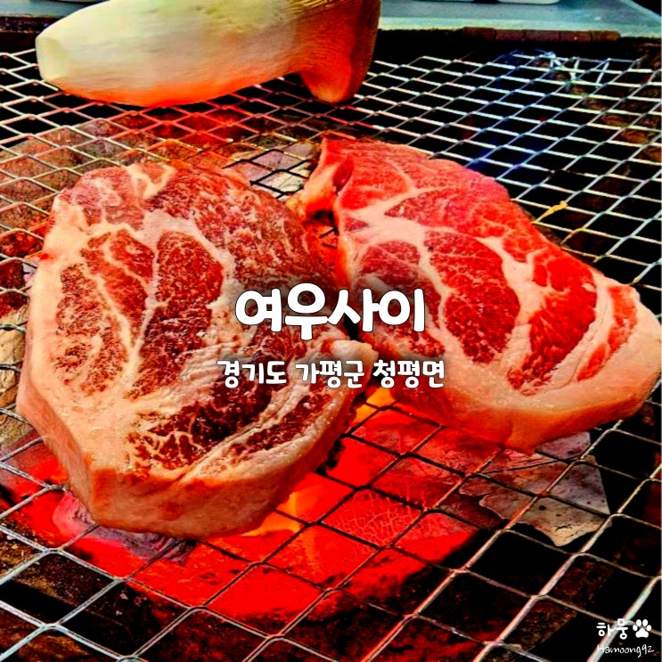  가평 아침고요수목원 맛집 여우사이, 청평 숯불바베큐 고기집