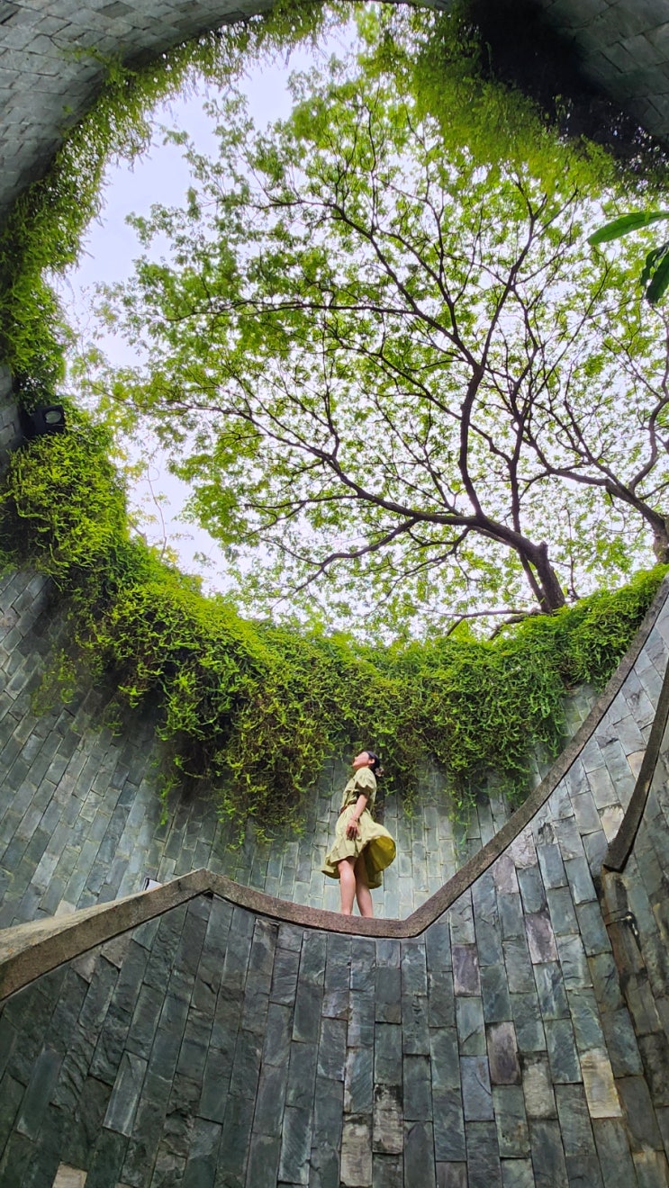  싱가포르 여자 혼자여행 포트 캐닝 공원 인스타사진 명소 Fort canning tree Tunnel