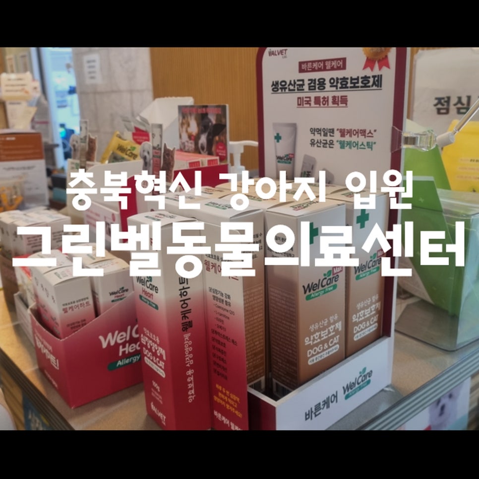 그린벨동물의료센터 사진
