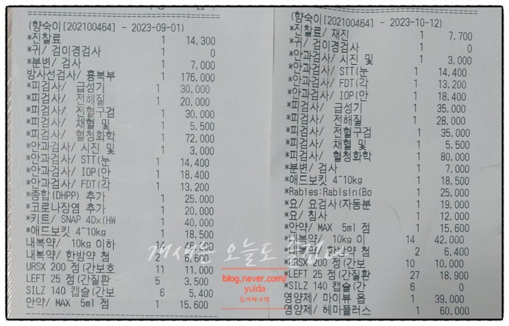  동물병원 검사비