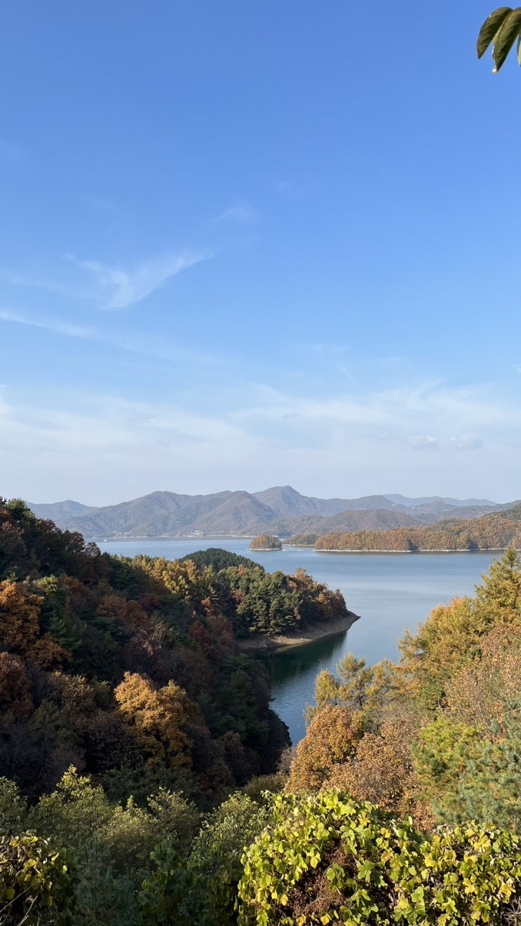  (충주) 가을에 딱! 데이트 코스(오리고기, 게으른 악어 카페,석종사)
