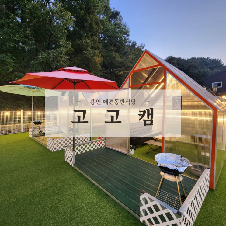  용인 애견동반 글램핑 캠핑 바베큐식당 강아지운동장 & 깔끔한 고고캠