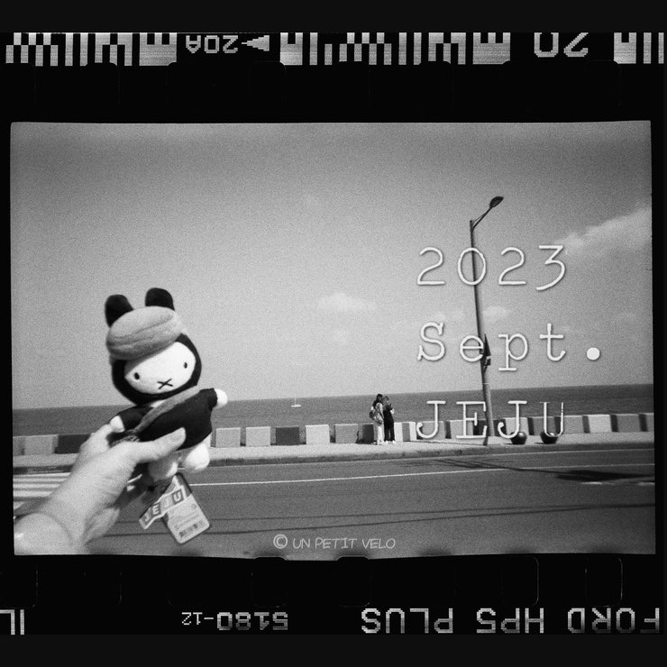 23년 가을의 제주 | 하만 일회용 흑백 필름카메라 일포드 HP5 Plus 400 | 필름로그 퍼포레이션 스캔