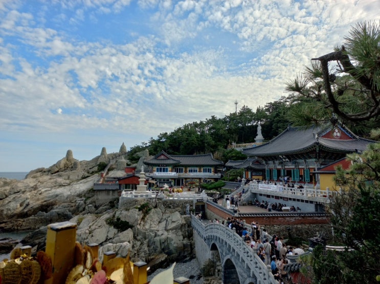  한민고 부산 수학여행 일기 - 2일차