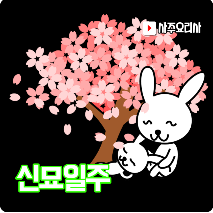  사주 일주론 辛卯(신묘)일주 99% 이해하는법~