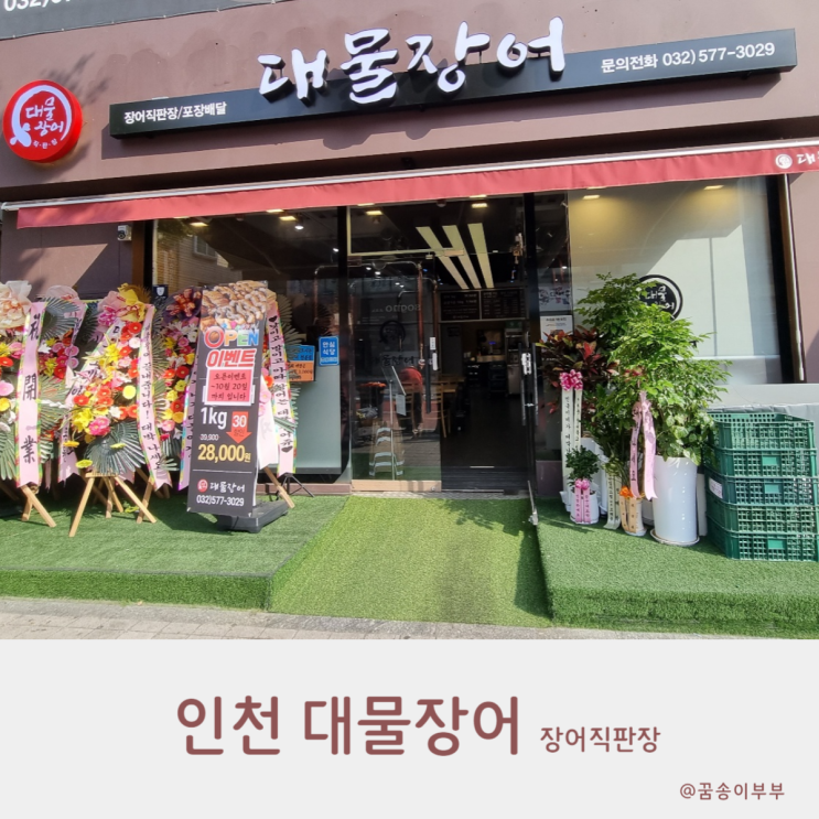  석남동 대물장어 20년 양만장운영 서구맛집