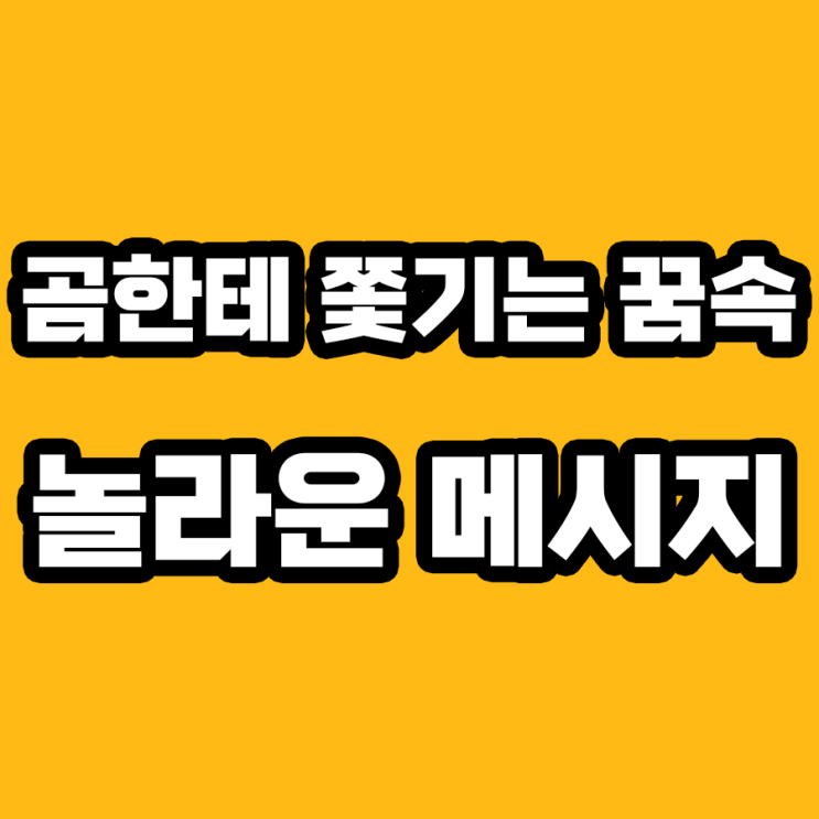  곰한테 쫓기는 꿈, 무슨 의미일까? 해몽 전문가가 알려드립니다!