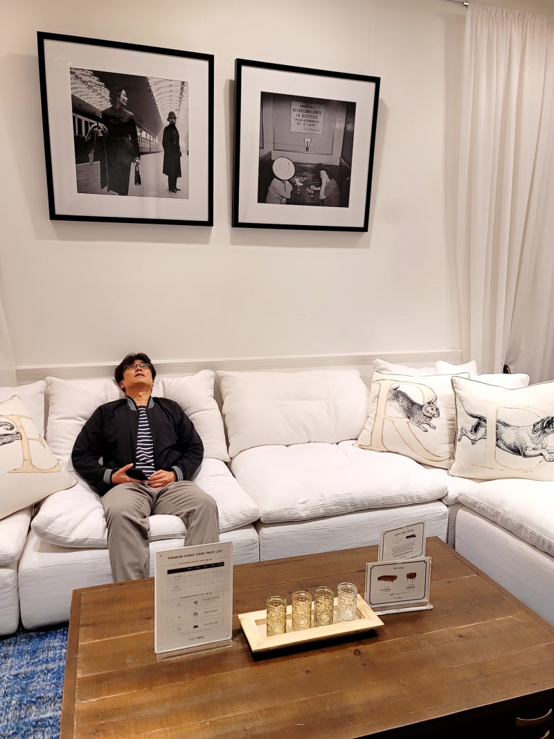 명품 소파 브랜드 까사알렉시스 클라우드 화사소파 후기
