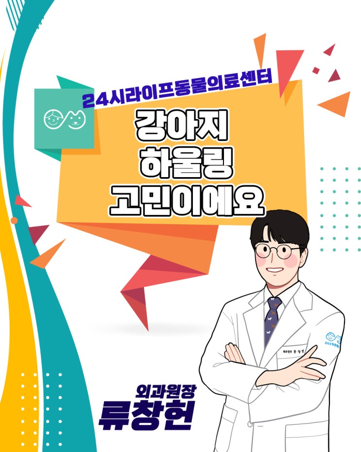 강아지 하울링 고민 원인알고 훈련하기 : 대구24시동물병원