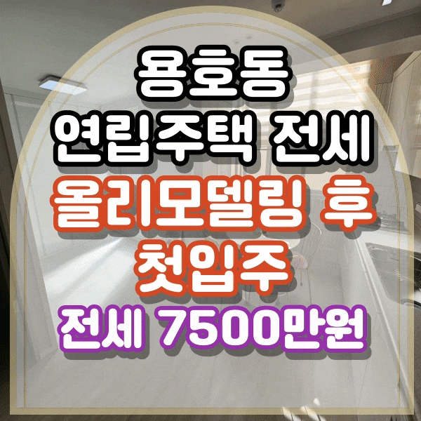  용호동 연립주택 전세, 올 리모델링 후 첫 입주, 풀옵션 ,너무 예쁜 집 , 합리적인 전세가격, 사진 有