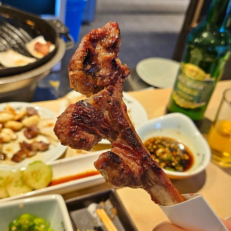  나주 혁신도시 맛집 고급 양고기집 라무진
